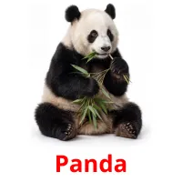 Panda billedkort for børn med billeder