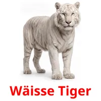 Wäisse Tiger billedkort for børn med billeder