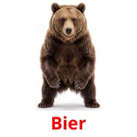 Bier flashcards illustrate