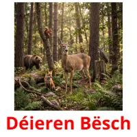 Déieren Bësch flashcards illustrate