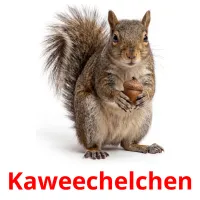Kaweechelchen flashcards illustrate