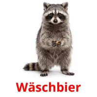 Wäschbier flashcards illustrate