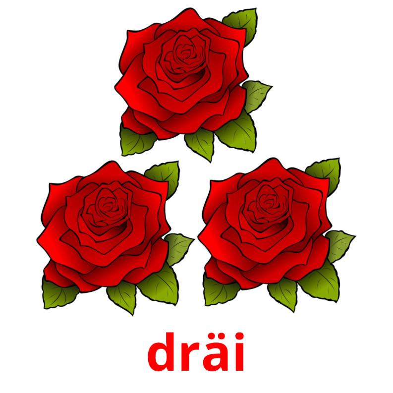 dräi picture flashcards