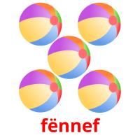 fënnef picture flashcards