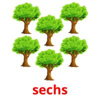 sechs flashcards illustrate