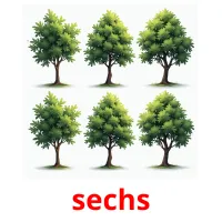 sechs flashcards illustrate