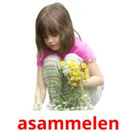 asammelen ansichtkaarten