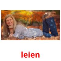 leien picture flashcards