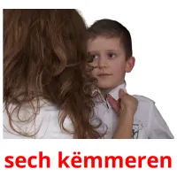 sech këmmeren ansichtkaarten