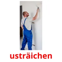 usträichen Tarjetas didacticas