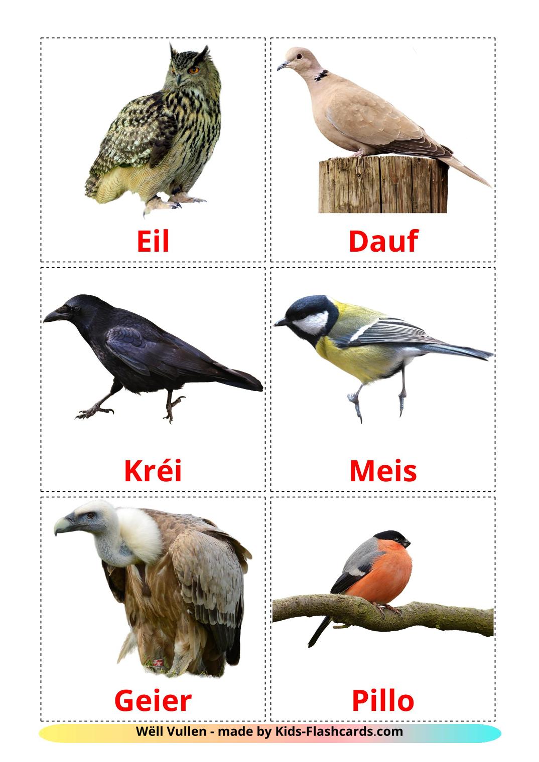 Pássaros Selvagens - 18 Flashcards luxemburguêses gratuitos para impressão