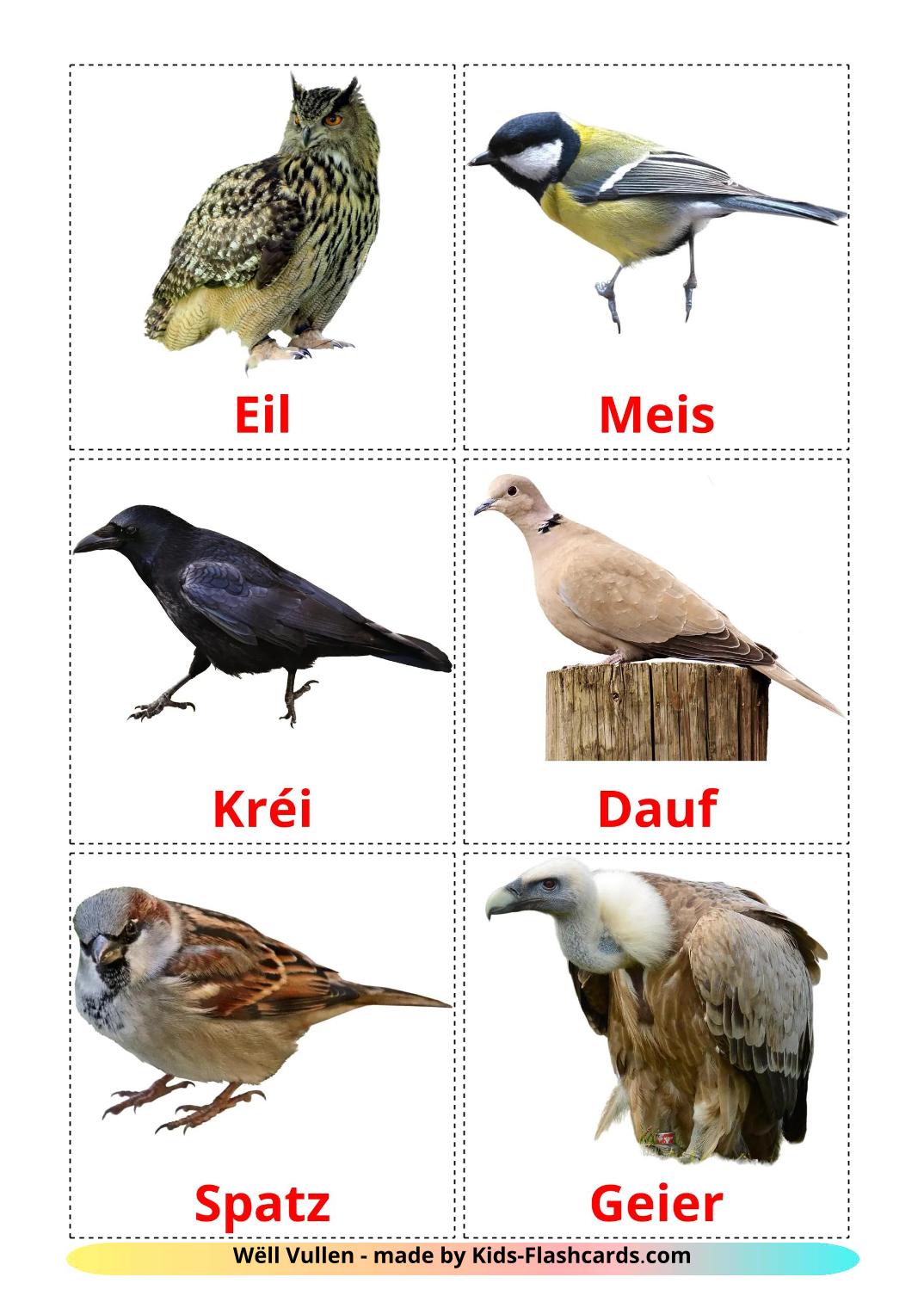 Wildvögel - 19 kostenlose, druckbare luxemburgisch Flashcards 