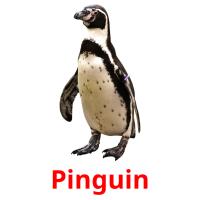 Pinguin Bildkarteikarten