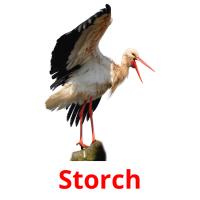 Storch cartões com imagens
