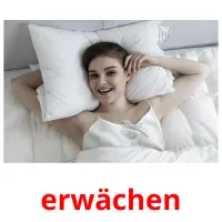 erwächen Tarjetas didacticas