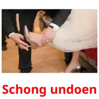 Schong undoen Tarjetas didacticas