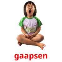 gaapsen picture flashcards