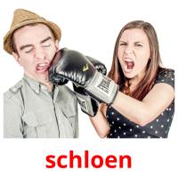 schloen flashcards illustrate