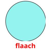 flaach flashcards illustrate