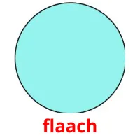 flaach карточки энциклопедических знаний