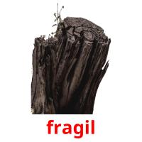 fragil picture flashcards