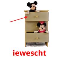 iewescht picture flashcards