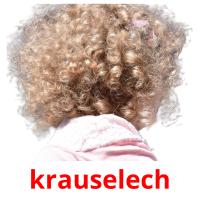 krauselech picture flashcards