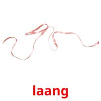 laang picture flashcards