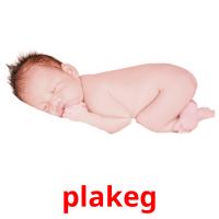 plakeg picture flashcards