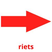 riets flashcards illustrate