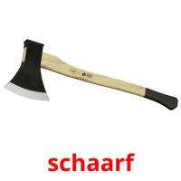 schaarf карточки энциклопедических знаний