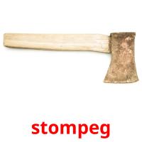 stompeg picture flashcards