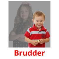Brudder picture flashcards