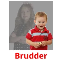 Brudder Tarjetas didacticas