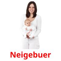 Neigebuer picture flashcards