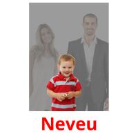 Neveu picture flashcards