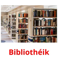 Bibliothéik picture flashcards