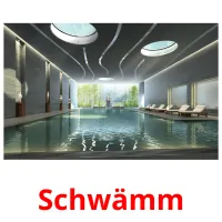 Schwämm picture flashcards