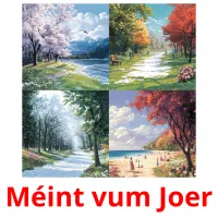 Méint vum Joer picture flashcards