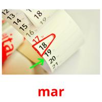 mar picture flashcards