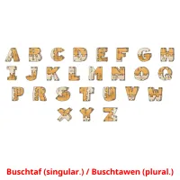 Buschtaf (singular.) / Buschtawen (plural.) picture flashcards