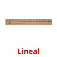 Lineal picture flashcards