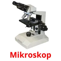 Mikroskop picture flashcards