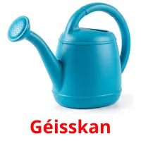 Géisskan Tarjetas didacticas