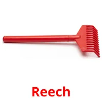 Reech Tarjetas didacticas