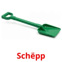 Schëpp Tarjetas didacticas