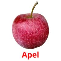 Apel picture flashcards