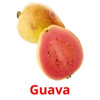 Guava picture flashcards