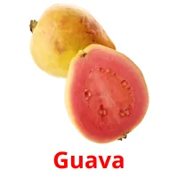 Guava cartes flash