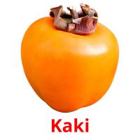 Kaki cartões com imagens